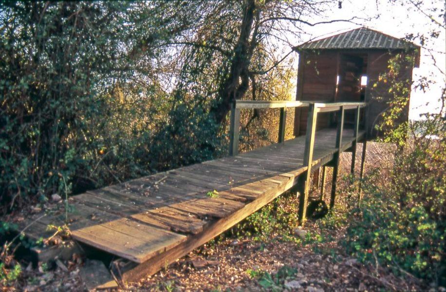 Apartamento Casa O'lado Golegã Exterior foto